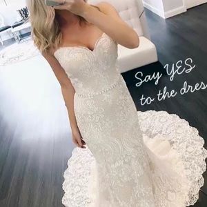 NWT, NBW, Ivory & Champagne wedding dress
